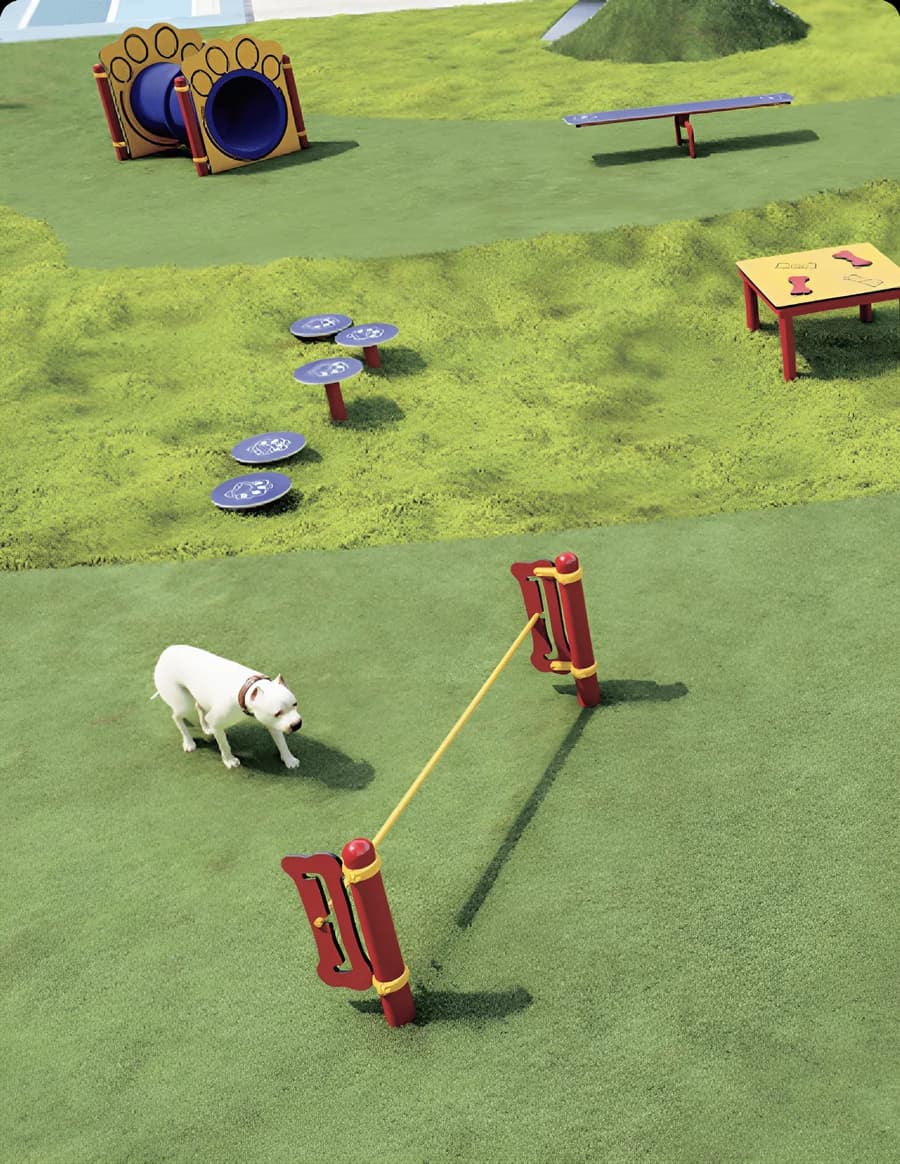 Dog Park Equipment