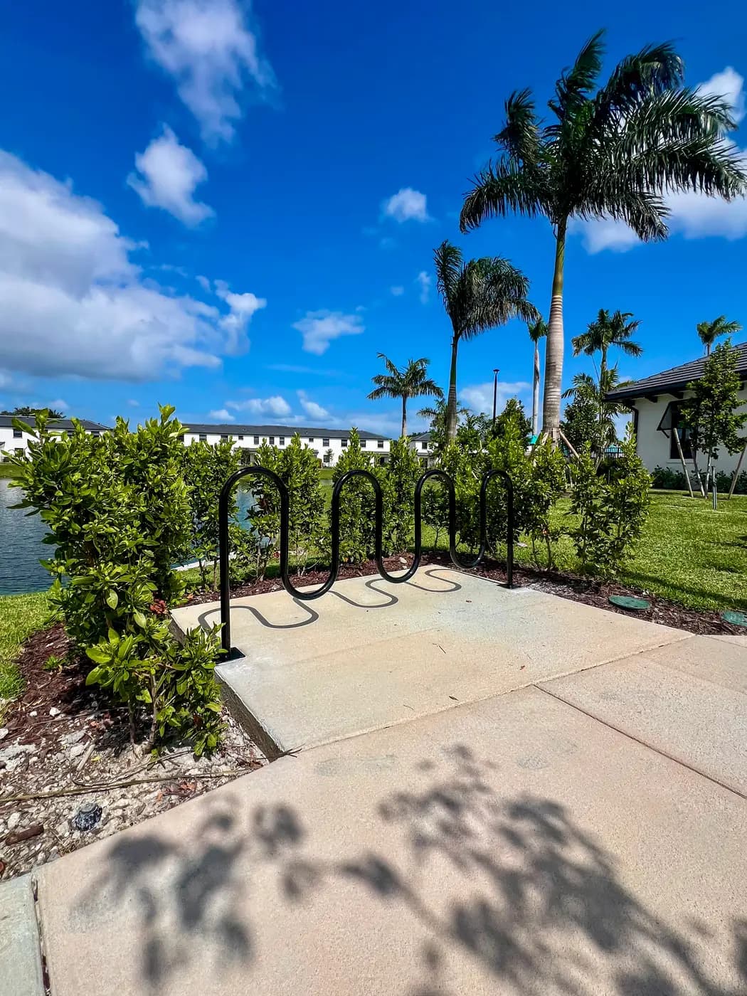Loop bike racks beside a palm-lined community walkway